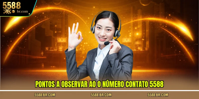 pontos-a-observar-ao-o-numero-contato-5588